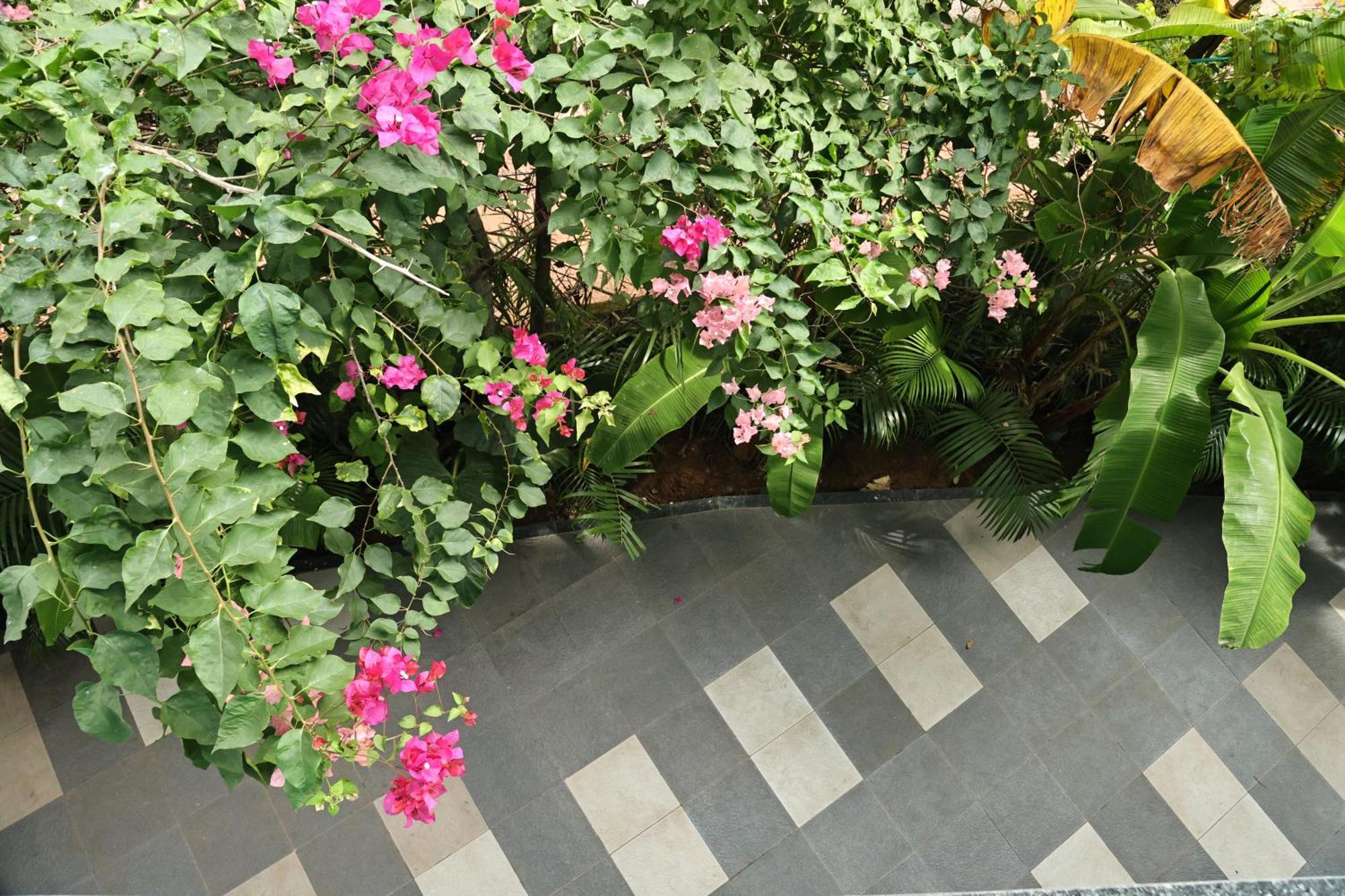 أنجونا Fusion Home المظهر الخارجي الصورة